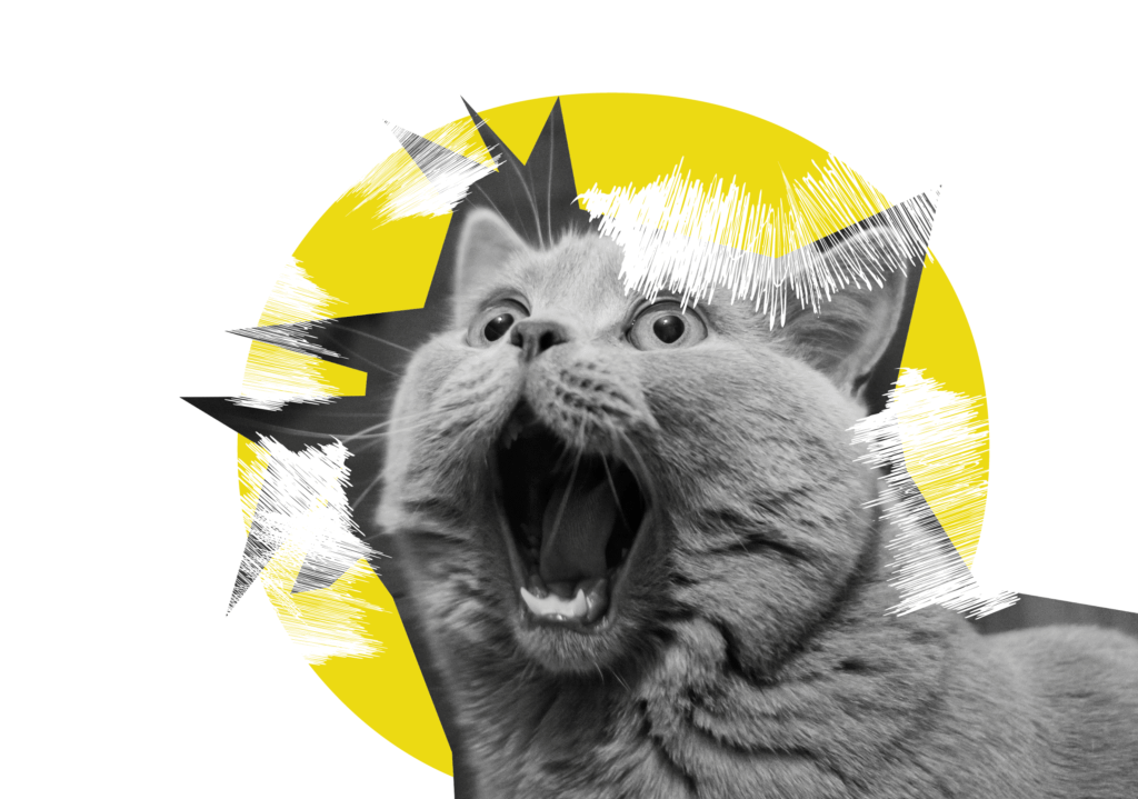 Catcatcat-01-1024x719